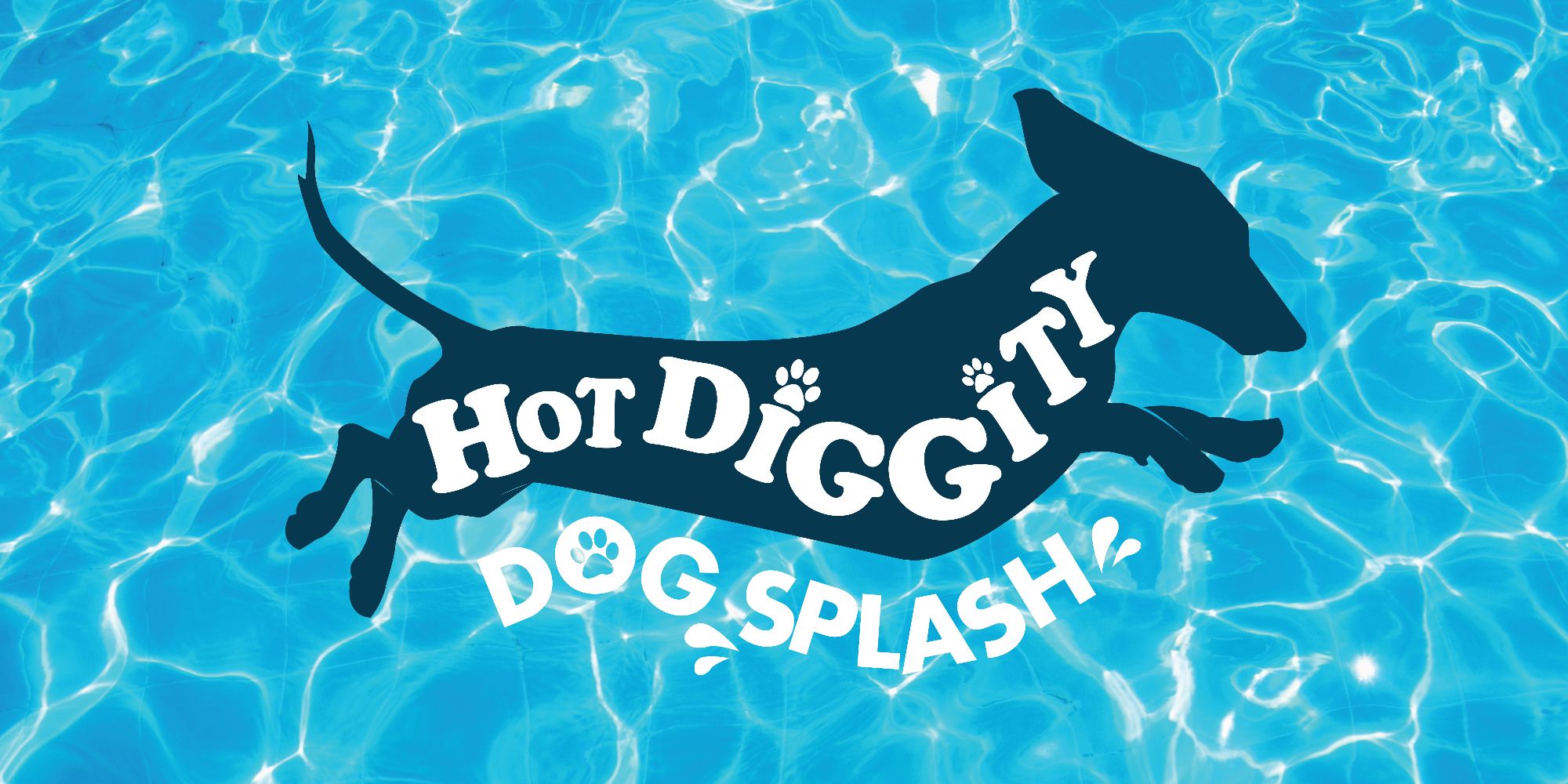 Hot Diggity Dog Splash