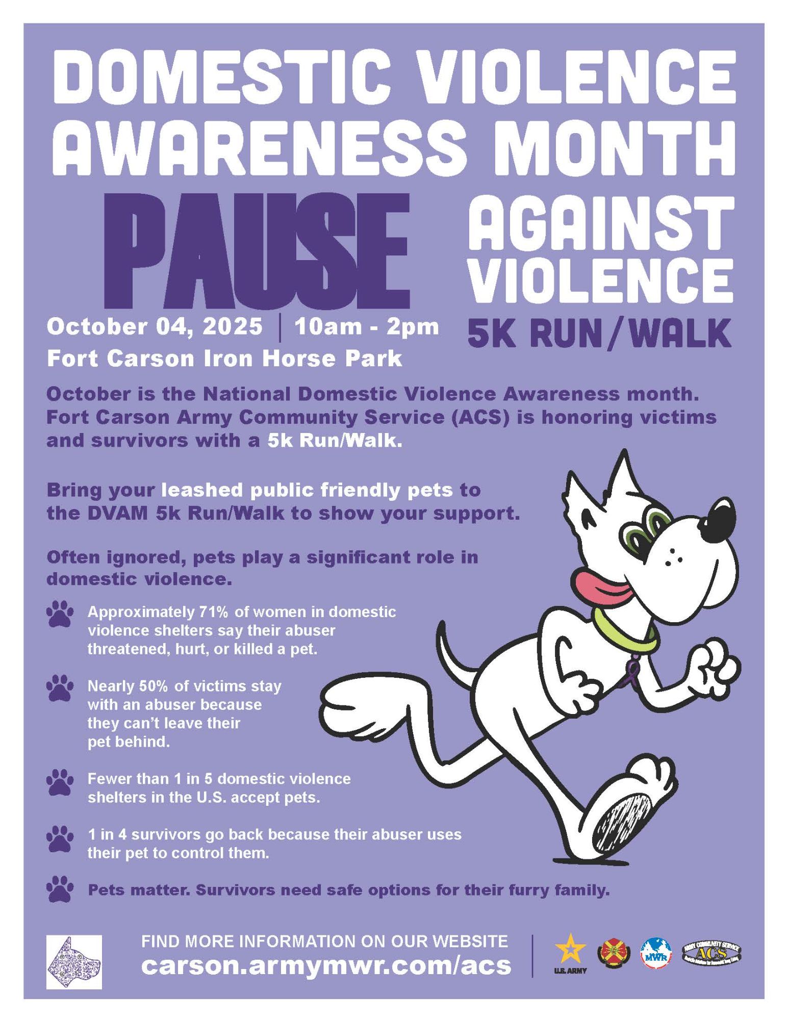 ACS-DVAM-Flyer (ver3).jpg